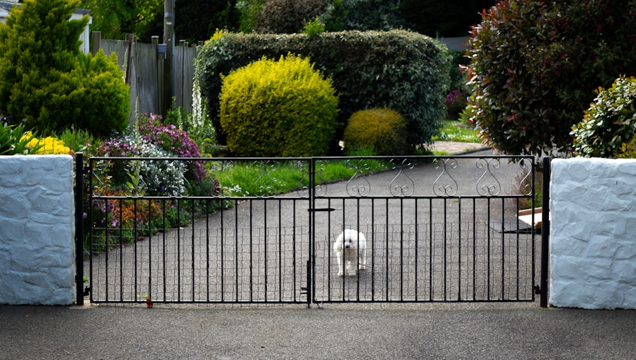 Black aluminum picket gate at a garden entrance